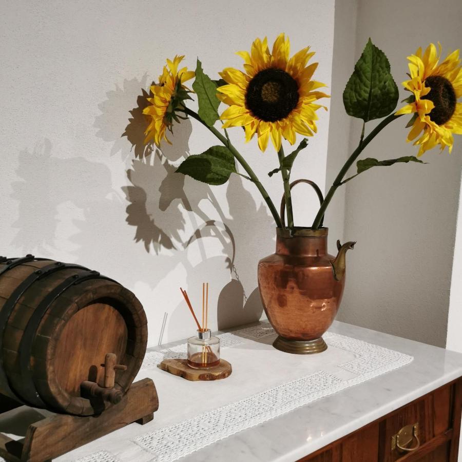 Otello Guest House Montalcino Zewnętrze zdjęcie